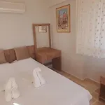 Palm Tree ヴィラ
