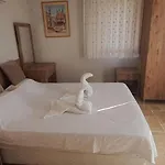 Palm Tree