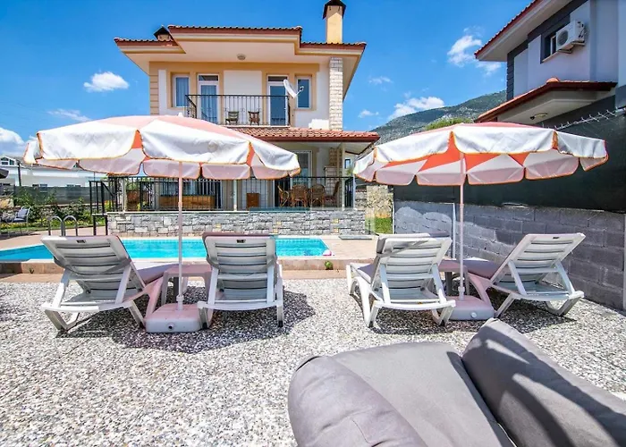 Palm Tree 厄吕代尼兹